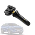 Miniatyrbild 2 av 5: 6 x TPMS-däcktrycksensor för 2017-2020 WEY VV5 VV6 VV7 P8 F5 F7 F7X H7L H2S H4 H6 3641100XKR02A