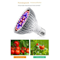 Pikkukuva 3 / 5: E27/E26 80W Kasvikasvatuslamppu Led Täyden Spektrin Kasvatuslamppu Taimen Kukka Phytolamppu Sisätilojen Hydroponisille Kasveille