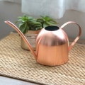 Miniatyrbillede 1 af 5: Rustfrit stål plantevandkande indendørs have metal vandkande lang mund udendørs vandkande med tud til hjem planter havearbejde vandkande