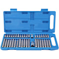Miniatyrbilde 1 av 5: 40-delt sett med Torx- og sekskantbits, 1/2 tomme og 3/8 tomme stasjon