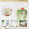 Miniatyrbild 2 av 5: 5-pack Hängande Planterkrukor inomhus, Blomkruka, Hängande Planterkorg, Utomhus Heminredning Krukor, 5-pack Plast Hängande Planterkorg, Hängande