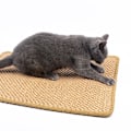 Miniatyrbild 1 av 5: Kattklösmatta, Sisal Kattklösdyna, Kattklösbräda, Halksäker Kattklovårdsleksak, Skydda Möbler Och Soffor 30×40cm (färg