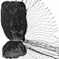 Miniatyrbillede 1 af 5: 30x3M Fuglebeskyttelsesnet Hegn Nylon Mesh 1,5cm til Dyr og Planter Have Due Hønseavl Frugttræ Balkon Po
