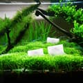 Miniatyrbilde 4 av 5: 6 Akvarie Medium Charcoal Filterpatroner, Til Quietflow 10 Erstatninger