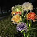 Miniatyrbilde 4 av 5: 4 stk dekorative utendørs solcellelamper, 5 solhoder svingende blomster IP65 vanntette solcellelamper for hage, gårdsplass