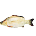 Miniatyrbild 1 av 5: Söt fisk tuggleksak simulering fylld fisk med kattmynta interaktivt husdjursleksak för kattungar 20cm