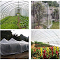 Miniatyrbillede 5 af 5: Insektbeskyttelsesnet, Have Net, Plante Insekt Net, Grøntsags Insekt Net, Plante Insekt Net, Myg Have Net (3 x 4m)