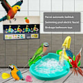 Miniatyrbillede 3 af 5: Fuglebad Automatisk Papegøje Badekar Svømmepøl Faucet Papegøje Bad Bruser Vanddispenser Fuglebur Badeværelse Papegøje Legetøj T2g