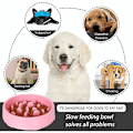 Miniatyrbillede 5 af 5: (Pink) Langsom Foder Skål til Hunde, Langsom Foder Skål, Anti Glutton Skål til Hund Kat, Fremmer Sund Spisning og Langsom Fordøjelse