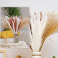 Miniatyrbilde 4 av 5: 65 stk tørket pampasgress, pampas til bohemske arrangementer, bryllupsdekorasjon, blomsteroppsatsgaver til kvinner