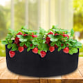 Miniatyrbillede 2 af 5: Stofpose til dyrkning af planter 55x19cm 5 stk.