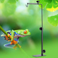 Miniatyrbillede 4 af 5: Justerbar Fod Teleskopisk Gulvvarmelys Stativ Landing Lys Stativ Holder til Skildpadde Firben Skildpadde Kæledyr Reptiler Glas Terrarium