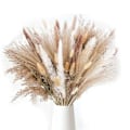 Miniatyrbilde 2 av 5: 170 Stykker Pampasgress Dekorativ Vase Hjem Design Arrangementer, Tørket Pampasgress Planter Tørkede Blomster 43cm