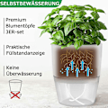 Miniatyrbild 3 av 5: Fönsterbräda kök set självvattnande set om 3 örtträdgård för kök 18,2 X 11 X 15,3 cm för kök färska örter vit