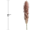 Miniatyrbillede 1 af 4: Tørret Pampasgræs - Naturlig, 30 stk. Rørgræs Fjer, Tørret Blomsterbuket til DIY Hjem Køkken Bryllup Fest Dekoration