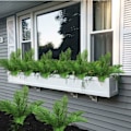 Miniatyrbild 2 av 4: Konstgjorda Boston Fern Växter 31,5\" Höga Konstgjorda Buskar Grönska Buskar Konstgjorda Blommor Falska Areca Palmväxter Blad för Inomhus Utomhus Hem Köket