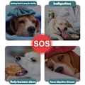 Miniatyrbillede 5 af 5: Langsom Foderhundebolle Anti-Gulping Sund Spisning Stop Bloating Interaktiv Sjov Alternativ Anti-Skrid Hund Langsom Foder Pet Skål D