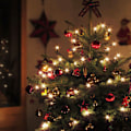 Miniatyrbilde 5 av 5: Julekulepynt, 24 Pakke Uknuselige Dekorative Pynt til Juletreet 3 cm/4 cm/6 cm/8 cm, Julehengende Kuler, Pynt, Rosa