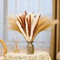 Miniatyrbilde 2 av 5: 65 stk tørket pampasgress, pampas til bohemske arrangementer, bryllupsdekorasjon, blomsteroppsatsgaver til kvinner
