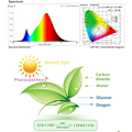 Miniatyrbilde 4 av 4: Plantelys med stativ, 96 LED-er 1 hoder Full Spectrum Innendørs Hagebruk LED-lampe, AUTO Timing - PÅ/AV Vekstlys for frøplanter/blomstring, med annonse