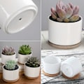 Miniatyrbilde 5 av 5: 6 stk hvite keramiske sukkulentpotter Blomsterpotter Liten pottebeholder med bambusbrett for blomsterplante urtegave til bryllup jul bursdag