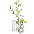 Miniatyrbild 1 av 5: Glasvaser för blommor - Små moderna munblåsta glasvaser för mittpunkter, set om 3, miniklara blomvaser i bulk (blomma ingår ej)