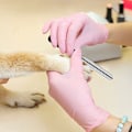 Miniatyrbilde 5 av 5: Hundenes neglklippere for store, mellomstore og små raser Profesjonelle kjæledyr neglklippere egnet for katter, kaniner og marsvin med sikkerhetslås og