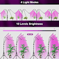 Miniatyrbillede 2 af 5: Plantelampe, Vækstlys med Stativ, 80 LED Plantehortikulturlampe Vækst Blomstring 4 Hoveder Fuld Spektrum Vækstlampe, med 10 Dæmpbare Niveauer 3 Tim