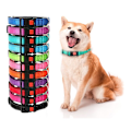 Miniatyrbilde 2 av 5: Reflekterende nylon hundekrage med gravert hundetegn, for store hunder, rød