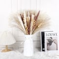 Miniatyrbilde 2 av 5: Pappas gress plommer, Fluffy Pappas gress plantegrener, Tusk og Bulldog, Faux Pappas bukett planter bryllupsdekor