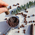Miniatyrbillede 4 af 5: Espresso Kaffeerührer Espresso Dosierwerkzeug Tragbare Espresso Dosierwerkzeuge, 6 Nadeln in Walnussfarbe