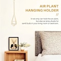Miniatyrbild 3 av 5: 4-pack luftväxt hängande ställning Himmeli dekor geometrisk planter hängande luftväxter Tillandsia hängande ställning