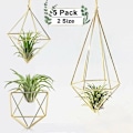 Pikkukuva 2 / 5: 10 kappaletta ilmatehtaan pidikettä, pieni metallinen pöytälevy, geometrinen istutuskone, Tillandsia-ilmakasvinäyttöteline