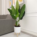 Miniatyrbillede 4 af 5: Moderne plantepotter med træbenholder soveværelse gulvstående pottepotte haveplanter-2