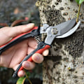 Miniatyrbilde 3 av 5: Hagesaks - Beskjæringssaks i rustfritt stål - Håndbeskjæringssaks med skarpe blad for beskjæring, plukking og trimming