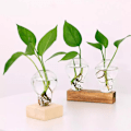 Miniatyrbillede 3 af 5: Krystalglas Plantepotte med Træstativ Hydroponiske Planter Desktop Pære Terrarium Blomster Vase Hjemmekontor Dekoration-B