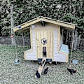 Miniatyrbild 2 av 3: Automatisk hönshusdörrsats, batteridriven automatisk hönshusdörr med timer och ljussensor, hönshustillbehör
