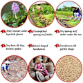 Miniatyrbilde 3 av 5: Ovale vevde plassmatter, Hyasint plassmatter, Halmvevde rotting plassmatter, 12X16 tommer 4-pakning