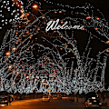 Miniatyrbillede 4 af 5: LED Eventyrtrælys Festlige Trælys Julepynt, Hvid, 10M 100 LED