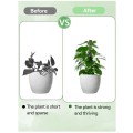 Miniatyrbilde 5 av 5: Plastikk Monstera Stake Kit, DIY Selvannende Moss Stake for Planter, Monstera Støtter