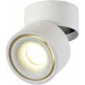 Pikkukuva 1 / 5: 10W LED-kattovalaisimet, säädettävä lampun kulma, valaisimet, kattovalaisimet, kattovalaisimet, kääntyvät kattovalaisimet, LED-kattovalaistus, 1