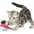 Miniatyrbild 1 av 4: Kattandborste leksak, katt leksak sili molar leksak tugga kon leksak kattunge kattmynta tandborste fiskform interaktiv leksak kattandhygien (rosa)-