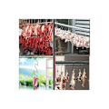 Miniatyrbild 5 av 5: Premium slakthake, rostfria S-formade väggkrokar - för varm- och kallrökning, kycklingjakt rökning revben (5,1 tum, 20-pack) (20-pack C