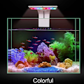 Miniatyrbillede 4 af 5: LED-akvarielys klemme, justerbar fuldspektrum LED-belysning klemme akvarielampe planter-