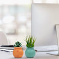 Miniatyrbild 5 av 5: Keramiska Hängande Planterare (4-pack) - Hängande Kruka för Inomhusväxter - Flerfärgad Hängande Vas med Juterop - Perfekt för Inomhus & Utomhus, Heminredning, Rabatt