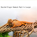 Miniatyrbild 5 av 5: Reptil Skäggagam Ödla Hängmatta Reptil Sängkläder Eremitkrabba Klättring Tillbehör 2 st