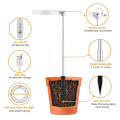 Miniatyrbillede 5 af 5: LED-vækstlys, Halo-lampe til indendørs plantevækst, 4/8/12/18 timers automatisk timer, til bonsai-sukkulenter og små planter