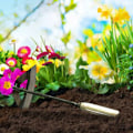 Miniatyrbilde 5 av 5: Hage Rake, Plen Rake Helt I Stål Hul Hacke Håndholdt Luking Rake Grønnsak Planting Jordbruks Spade Verktøy 3016cm-DENUOTOP