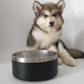 Miniatyrbilde 5 av 5: Multifunksjonell rustfritt stål kjæledyrskål 32Oz, rund sklisikker hundeplate, katteskål, mater, drikkeskål-hvit