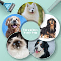 Miniatyrbillede 3 af 5: Hundekam, Kattekam, Børster til fjernelse af kæledyrshår - Fjernelse af plejebørste, Professionel Demattingbørste til langt/kort hår -